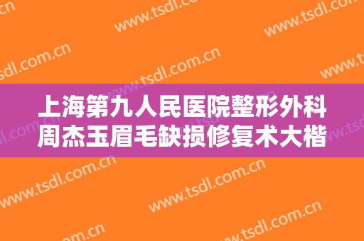 上海第九人民医院整形外科周杰玉眉毛缺损修复术大楷需要多少费用?靠谱吗?