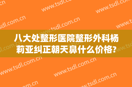 八大处整形医院整形外科杨莉亚纠正朝天鼻什么价格?贵不贵?(美容医院隆鼻)