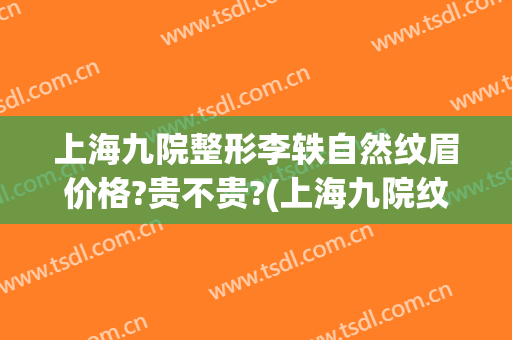 上海九院整形李轶自然纹眉价格?贵不贵?(上海九院纹眉多少钱)
