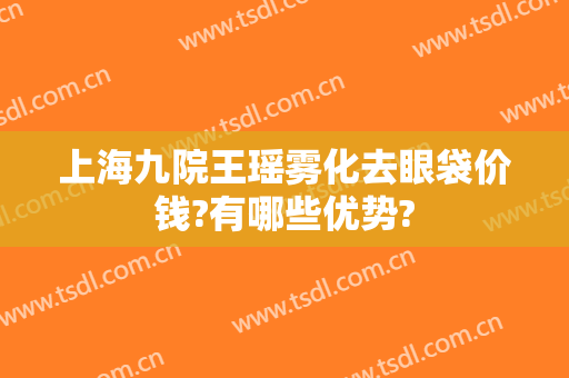 上海九院王瑶雾化去眼袋价钱?有哪些优势?