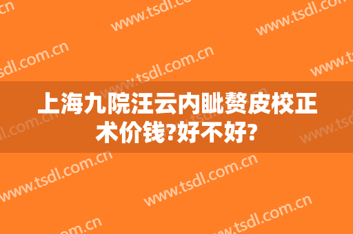 上海九院汪云内眦赘皮校正术价钱?好不好?