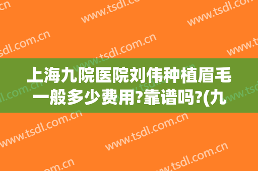 上海九院医院刘伟种植眉毛一般多少费用?靠谱吗?(九院植眉大概多少钱)
