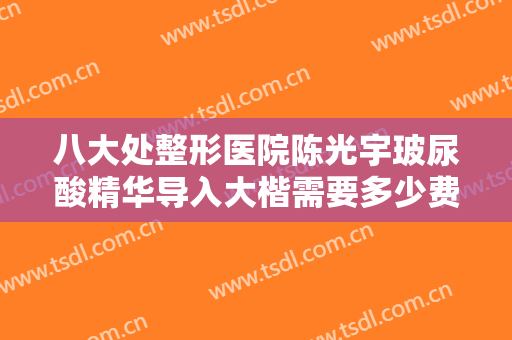 八大处整形医院陈光宇玻尿酸精华导入大楷需要多少费用?需要多久恢复?