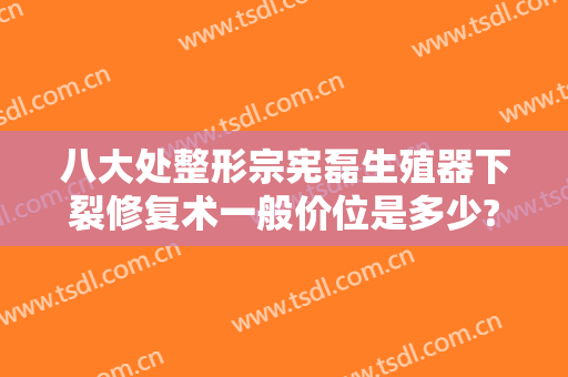 八大处整形宗宪磊生殖器下裂修复术一般价位是多少?怎么样?