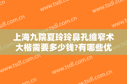 上海九院夏玲玲鼻孔缩窄术大楷需要多少钱?有哪些优势?