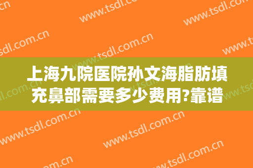 上海九院医院孙文海脂肪填充鼻部需要多少费用?靠谱吗?(上海九院脂肪填充全脸哪个医生好)