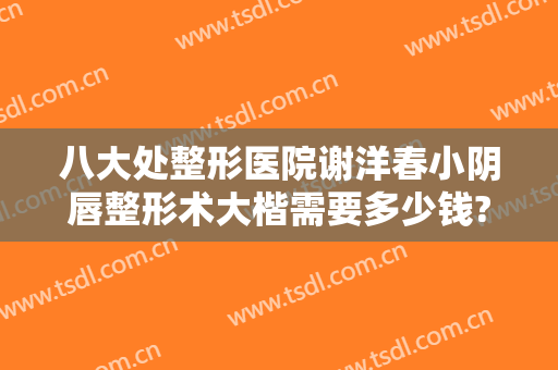 八大处整形医院谢洋春小阴唇整形术大楷需要多少钱?需要多久恢复?