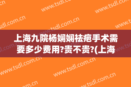 上海九院杨娴娴祛疤手术需要多少费用?贵不贵?(上海九院祛疤费用价格)