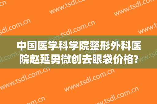 中国医学科学院整形外科医院赵延勇微创去眼袋价格?可靠吗?(赵延勇双眼皮价格)