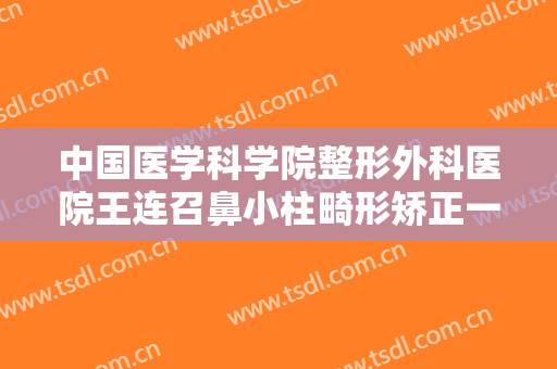 中国医学科学院整形外科医院王连召鼻小柱畸形矫正一般价位是多少?有哪些优势?