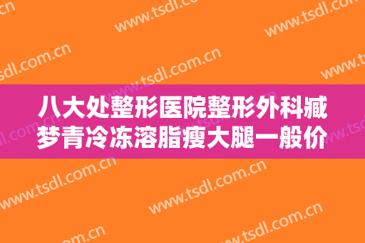 八大处整形医院整形外科臧梦青冷冻溶脂瘦大腿一般价位是多少?多长时间恢复?