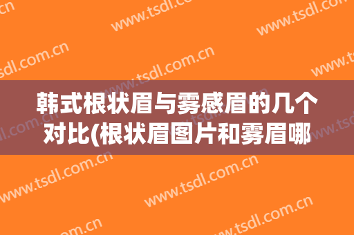 韩式根状眉与雾感眉的几个对比(根状眉图片和雾眉哪个好)