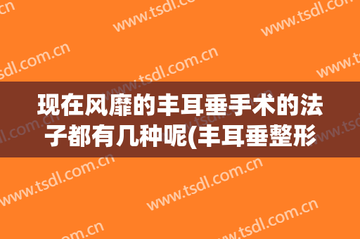 现在风靡的丰耳垂手术的法子都有几种呢(丰耳垂整形图片)