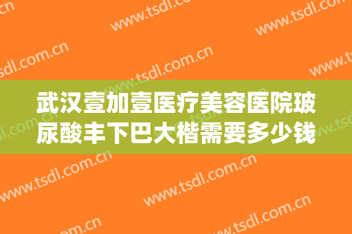 武汉壹加壹医疗美容医院玻尿酸丰下巴大楷需要多少钱?贵不贵?(武汉整形医院价格)
