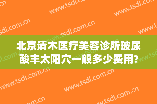 北京清木医疗美容诊所玻尿酸丰太阳穴一般多少费用?贵不贵?(北京清木医疗美容医院地址)