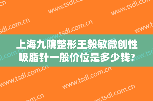 上海九院整形王毅敏微创性吸脂针一般价位是多少钱?多长时间恢复?(上海第九医院吸脂价格)
