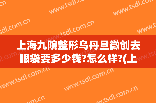 上海九院整形乌丹旦微创去眼袋要多少钱?怎么样?(上海第九整形美容医院去眼袋价格)