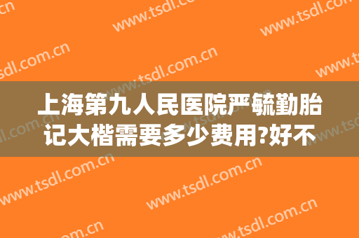 上海第九人民医院严毓勤胎记大楷需要多少费用?好不好?(上海九院胎记专家哪个好)