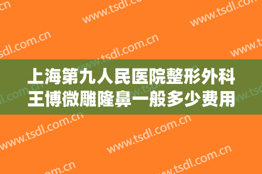 上海第九人民医院整形外科王博微雕隆鼻一般多少费用?靠谱吗?(上海九院整形外科博士)