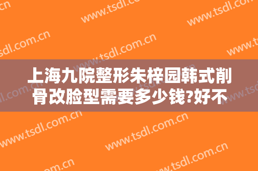 上海九院整形朱梓园韩式削骨改脸型需要多少钱?好不好?