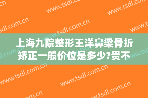 上海九院整形王洋鼻梁骨折矫正一般价位是多少?贵不贵?(上海整形医生鼻王)