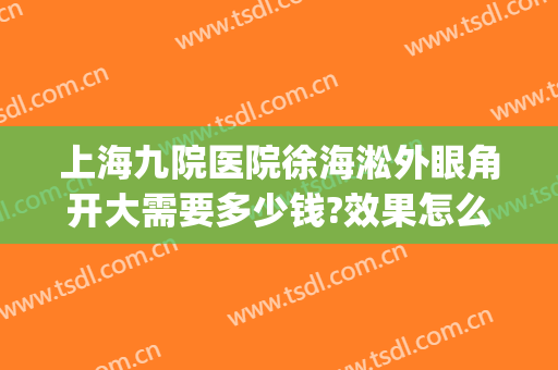 上海九院医院徐海淞外眼角开大需要多少钱?效果怎么样?(上海九院开眼角手术价格表)