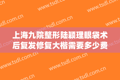 上海九院整形陆颖理眼袋术后复发修复大楷需要多少费用?怎么样?(上海九院做眼袋手术多少钱)