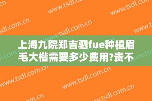 上海九院郑吉驷fue种植眉毛大楷需要多少费用?贵不贵?