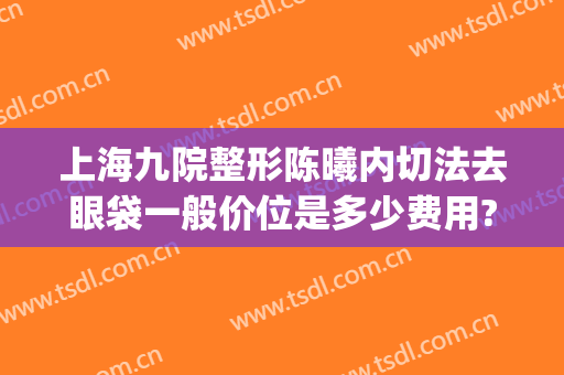 上海九院整形陈曦内切法去眼袋一般价位是多少费用?贵不贵?(上海九院割眼袋)