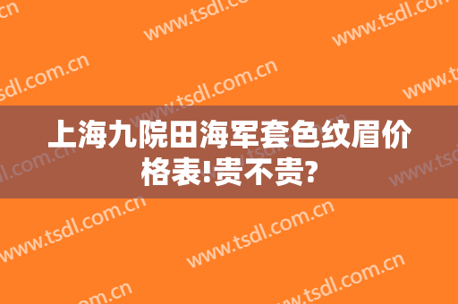 上海九院田海军套色纹眉价格表!贵不贵?