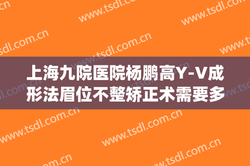 上海九院医院杨鹏高Y-V成形法眉位不整矫正术需要多少钱?好不好?(上海九院歪鼻矫正多少钱)