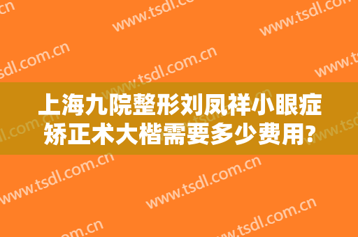 上海九院整形刘凤祥小眼症矫正术大楷需要多少费用?有哪些优势?