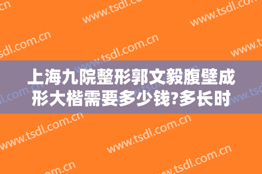 上海九院整形郭文毅腹壁成形大楷需要多少钱?多长时间恢复?