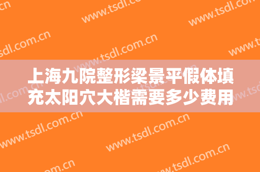上海九院整形梁景平假体填充太阳穴大楷需要多少费用?效果怎么样?