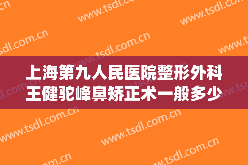 上海第九人民医院整形外科王健驼峰鼻矫正术一般多少钱?靠谱吗?(上海第九医院整形专科有专家吗?)