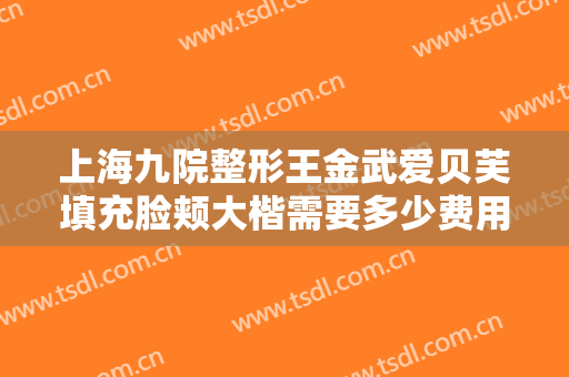 上海九院整形王金武爱贝芙填充脸颊大楷需要多少费用?靠谱吗?