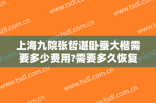 上海九院张哲谌卧蚕大楷需要多少费用?需要多久恢复?
