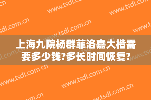 上海九院杨群菲洛嘉大楷需要多少钱?多长时间恢复?