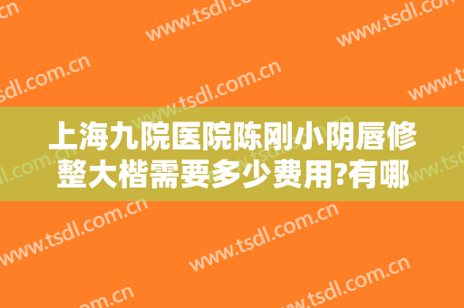上海九院医院陈刚小阴唇修整大楷需要多少费用?有哪些优势?