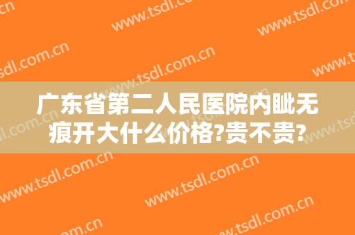 广东省第二人民医院内眦无痕开大什么价格?贵不贵?