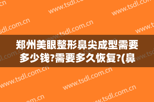 郑州美眼整形鼻尖成型需要多少钱?需要多久恢复?(鼻尖整形多少钱)