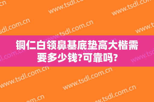 铜仁白领鼻基底垫高大楷需要多少钱?可靠吗?