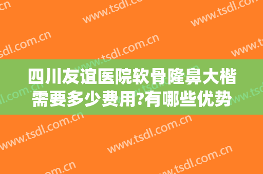 四川友谊医院软骨隆鼻大楷需要多少费用?有哪些优势?(软骨隆鼻的费用)