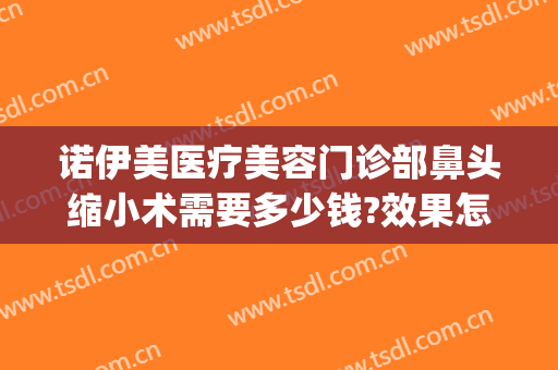 诺伊美医疗美容门诊部鼻头缩小术需要多少钱?效果怎么样?(鼻翼缩小整形术多少钱)