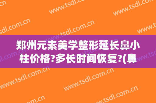 郑州元素美学整形延长鼻小柱价格?多长时间恢复?(鼻小柱整形费用)