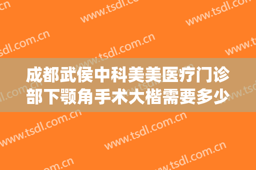 成都武侯中科美美医疗门诊部下颚角手术大楷需要多少费用?可靠吗?(武侯区的医美医院)