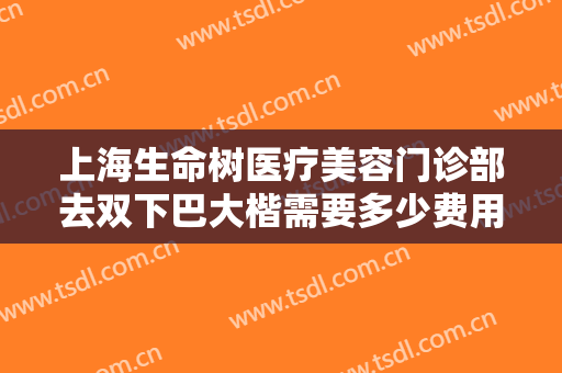 上海生命树医疗美容门诊部去双下巴大楷需要多少费用?有哪些优势?