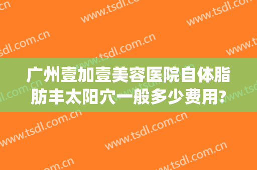 广州壹加壹美容医院自体脂肪丰太阳穴一般多少费用?有哪些优势?(广州壹加医疗美容医院怎么样是公立吗)