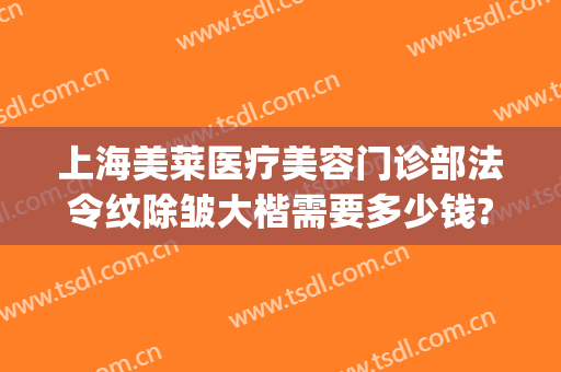 上海美莱医疗美容门诊部法令纹除皱大楷需要多少钱?有哪些优势?(上海美莱医疗美容门诊部专家)