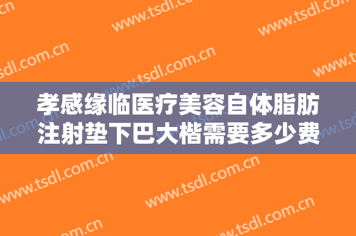 孝感缘临医疗美容自体脂肪注射垫下巴大楷需要多少费用?好不好?